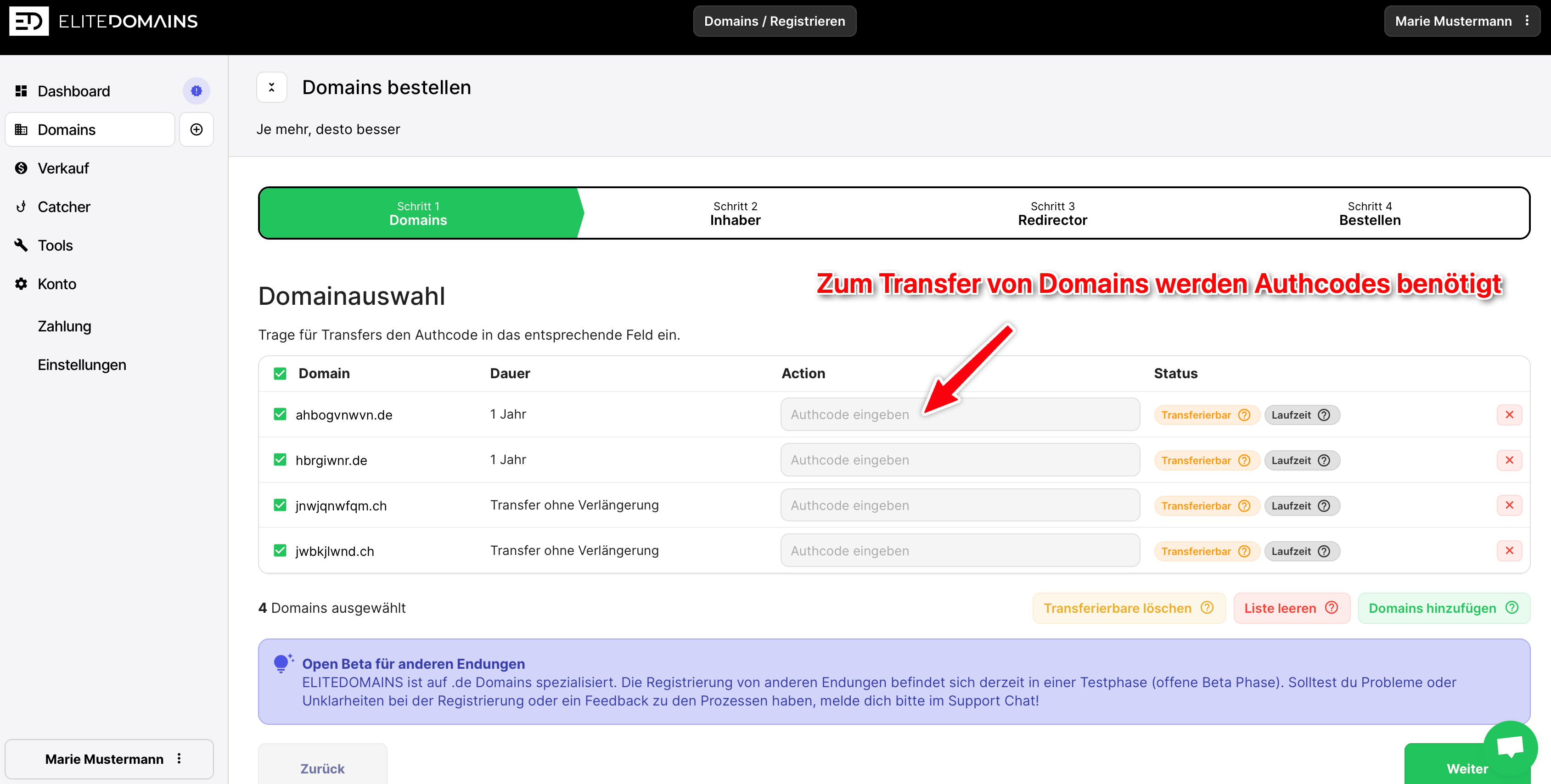 Domains mit Authcode transferieren