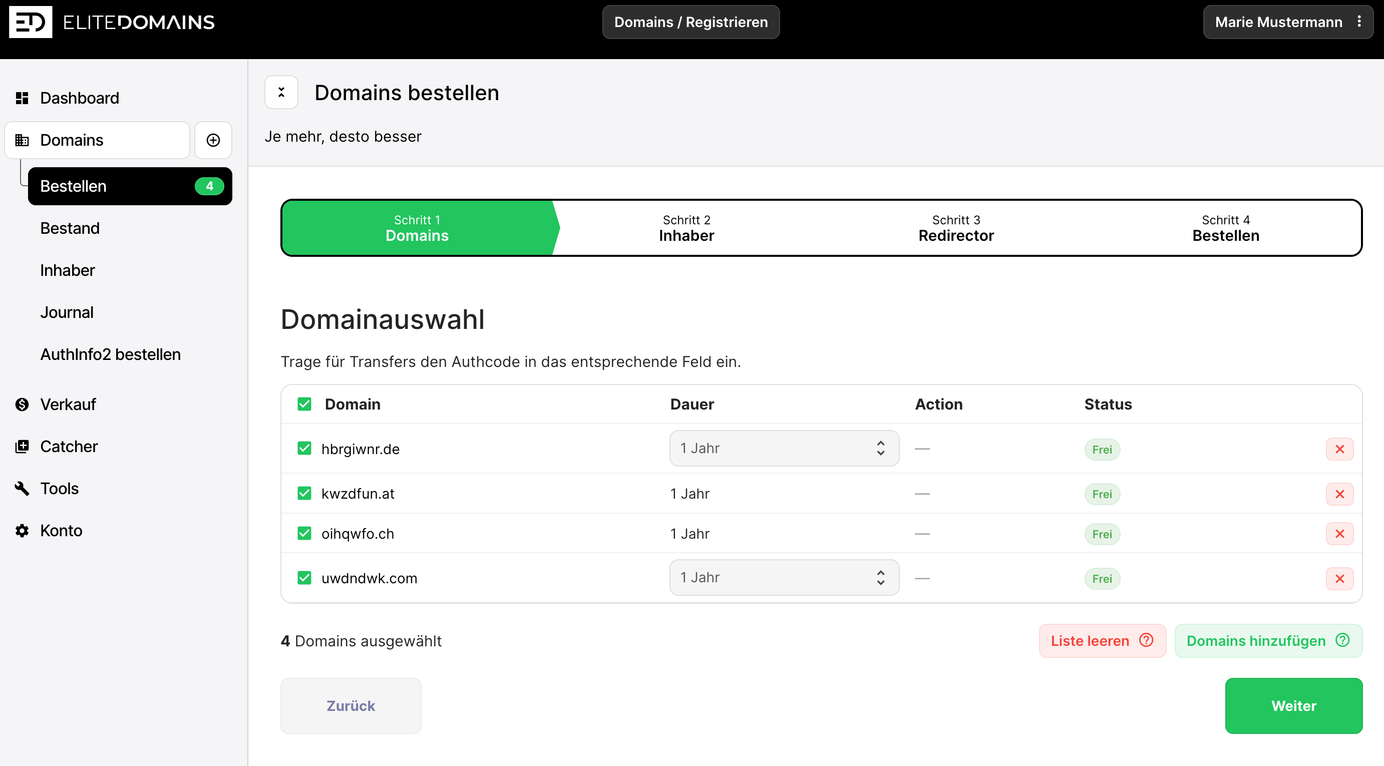 Domains bestellen - Schritt 3 - Domains auswählen
