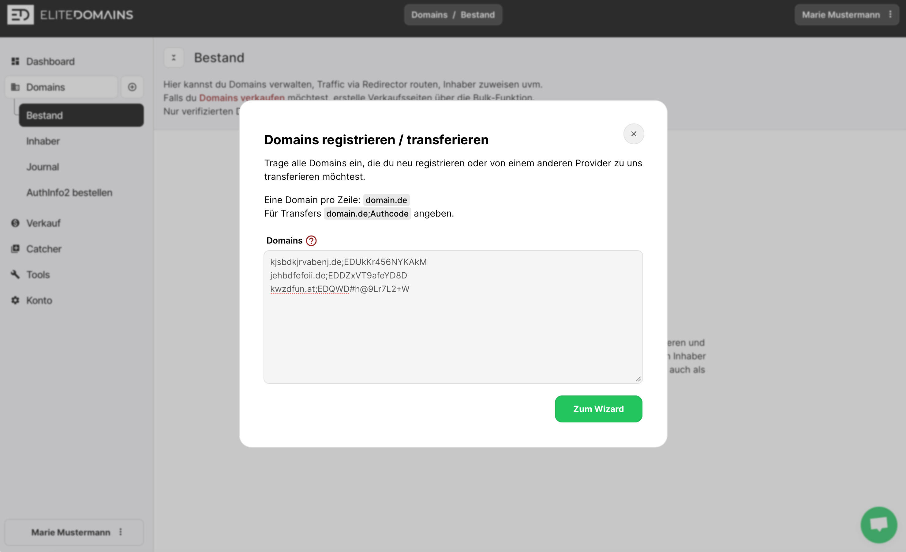 Domains transferieren - Fall 2 - Bulk Domain Transfer
