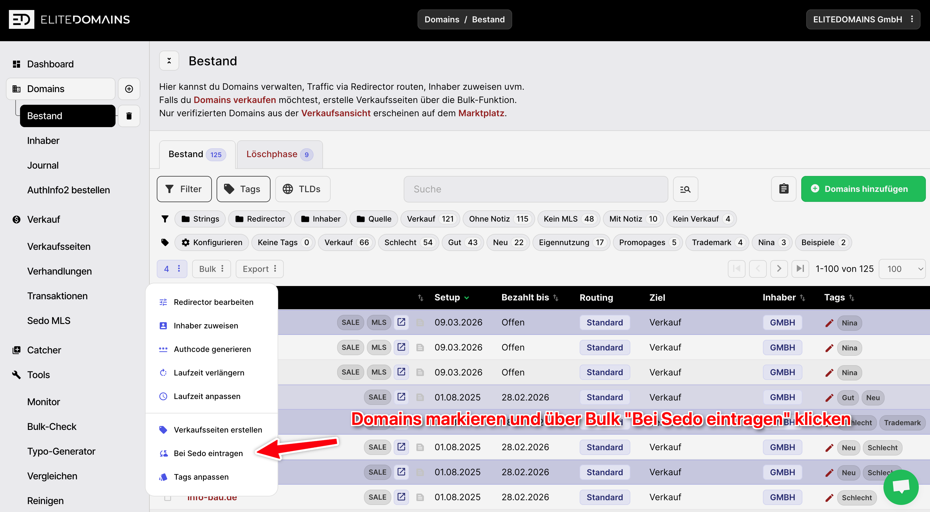 Schritt 5 - Neue Domains bei Sedo eintragen